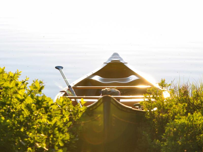 sudoku number placement